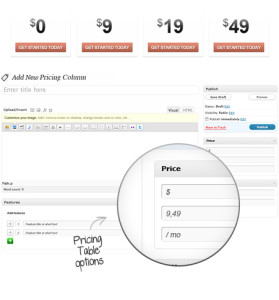 Pricing Table Constructor.